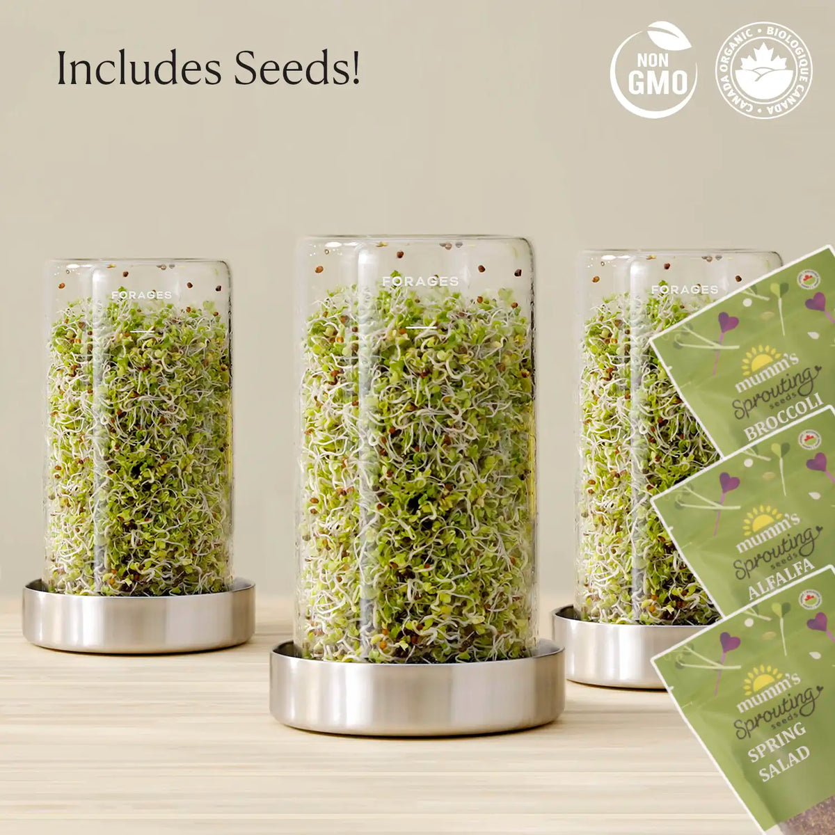 Sprout Jar Kit