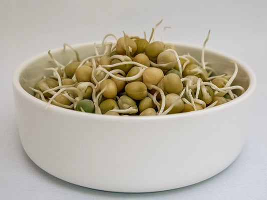 Green Pea Sprouts in a Bowl