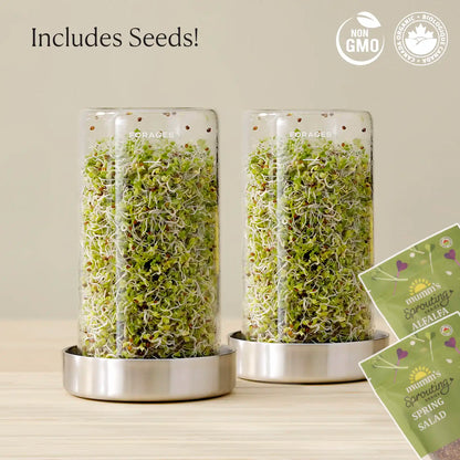 Sprout Jar Kit