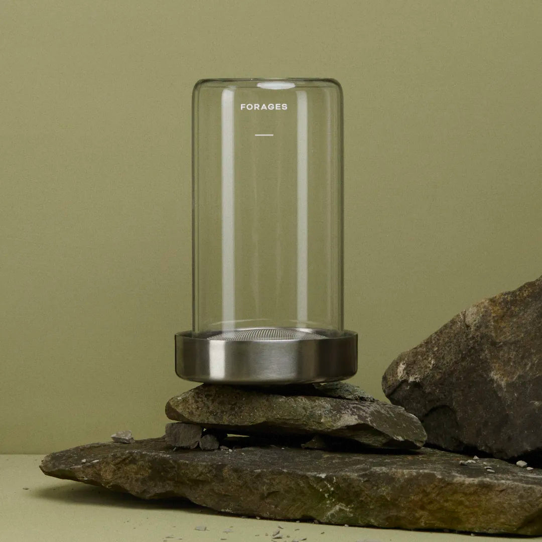Empty Forages Sprout Jar Kit on rock for home sprouting